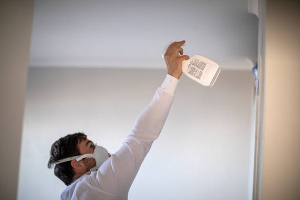Best Crawl Space Mold Removal  in Puxico, MO