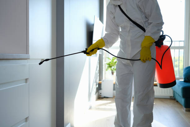 Best Certified Mold Removal  in Puxico, MO