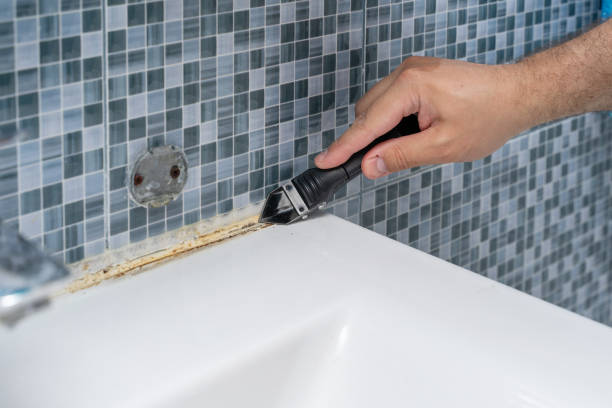 Best Local Mold Removal Service  in Puxico, MO